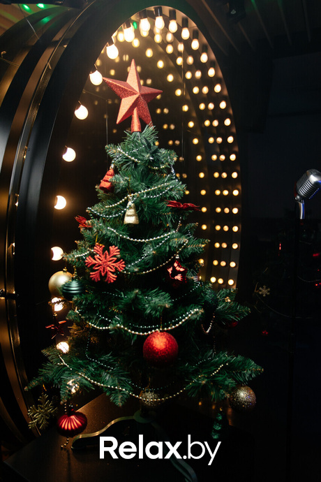 Terra Karaoke, фото № 4