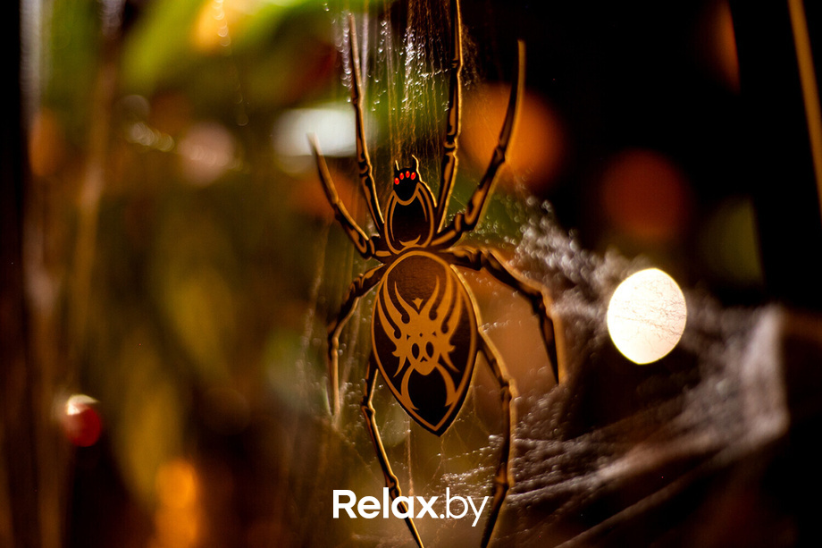 Выступление Владимира Козлова, фото № 52