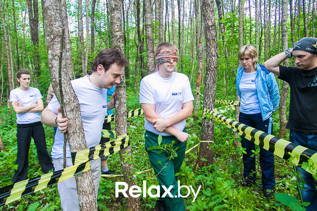 Тимбилдинг, фото № 60