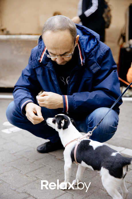 Благотворительная акция пушистого добра, фото № 91