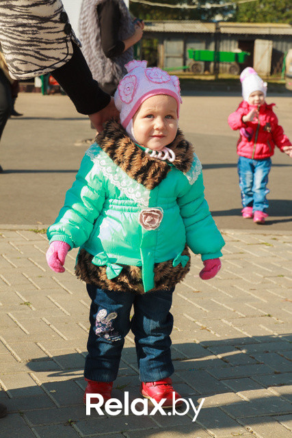 Акция ко Дню защиты животных, фото № 46