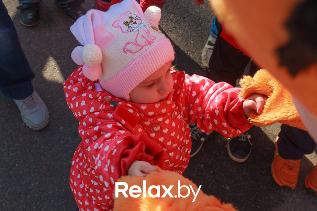 Акция ко Дню защиты животных, фото № 15