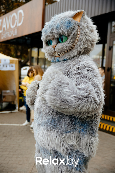 Благотворительная акция пушистого добра, фото № 81