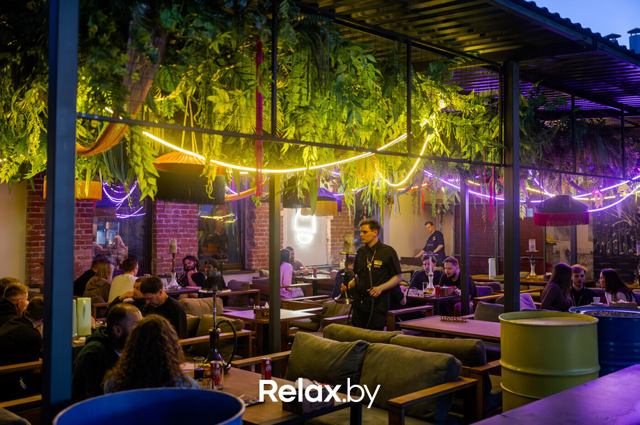 Monkey Brothers, фото № 36