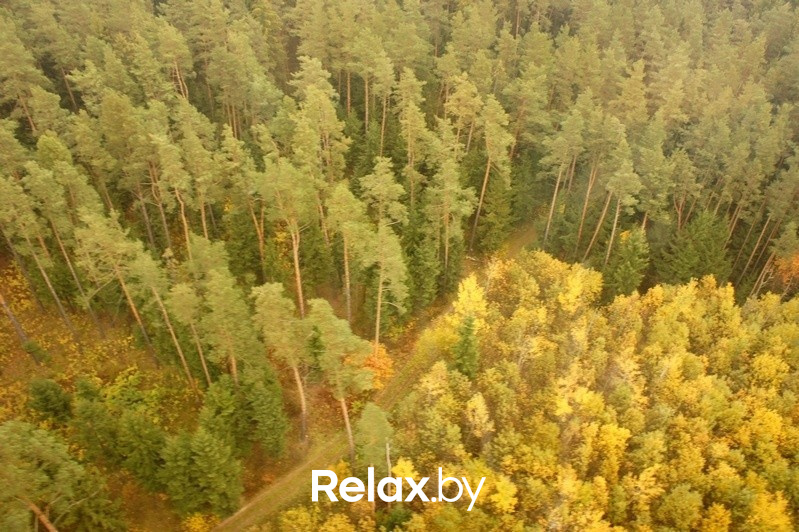 Воздушная прогулка relax.by, фото № 62