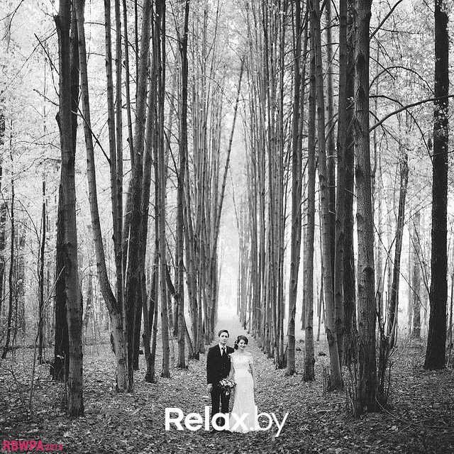 Конкурс профессиональной свадебной фотографии, фото № 20