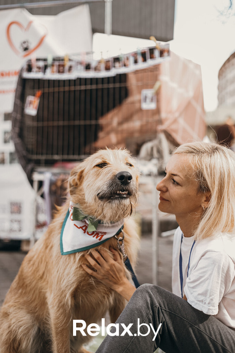 Акция Пушистого Добра, фото № 159