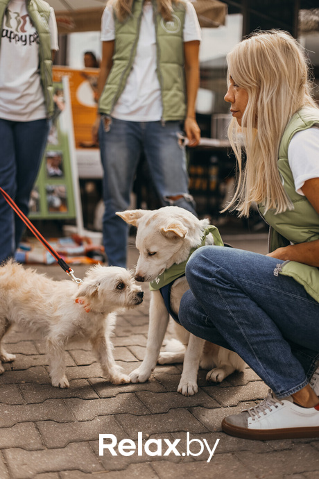 Акция Пушистого Добра, фото № 161