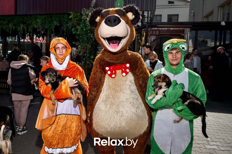 Акция пушистого добра, фото № 29