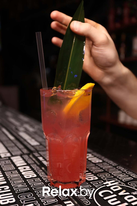 Terra party, фото № 46