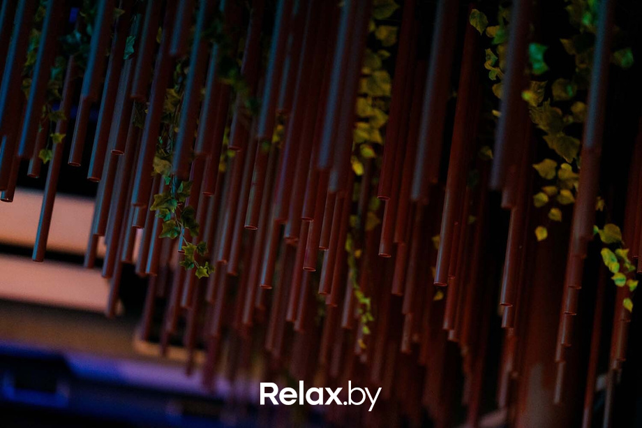 Terra party, фото № 59