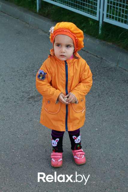 Акция ко Дню защиты животных, фото № 50