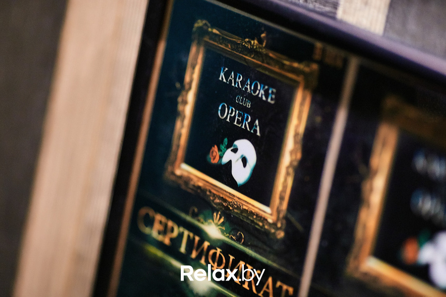 Черный лебедь, фото № 40