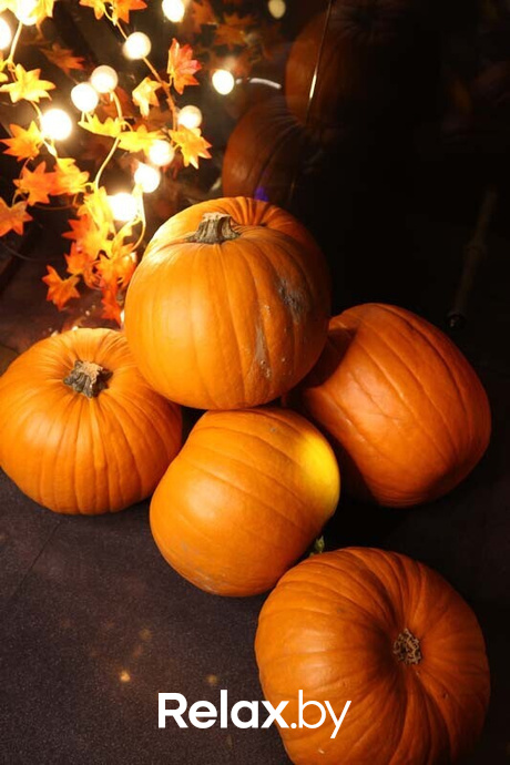 Терра караоке, фото № 14