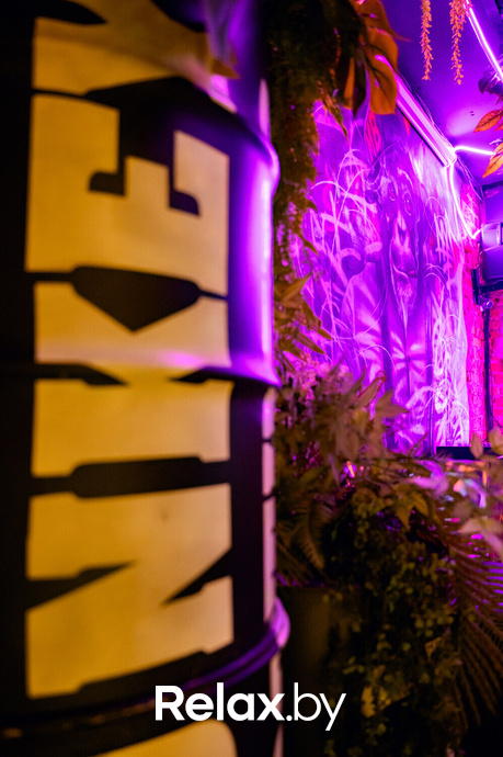 Monkey Brothers, фото № 30