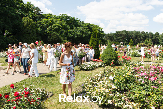 Фестиваль роз, фото № 59