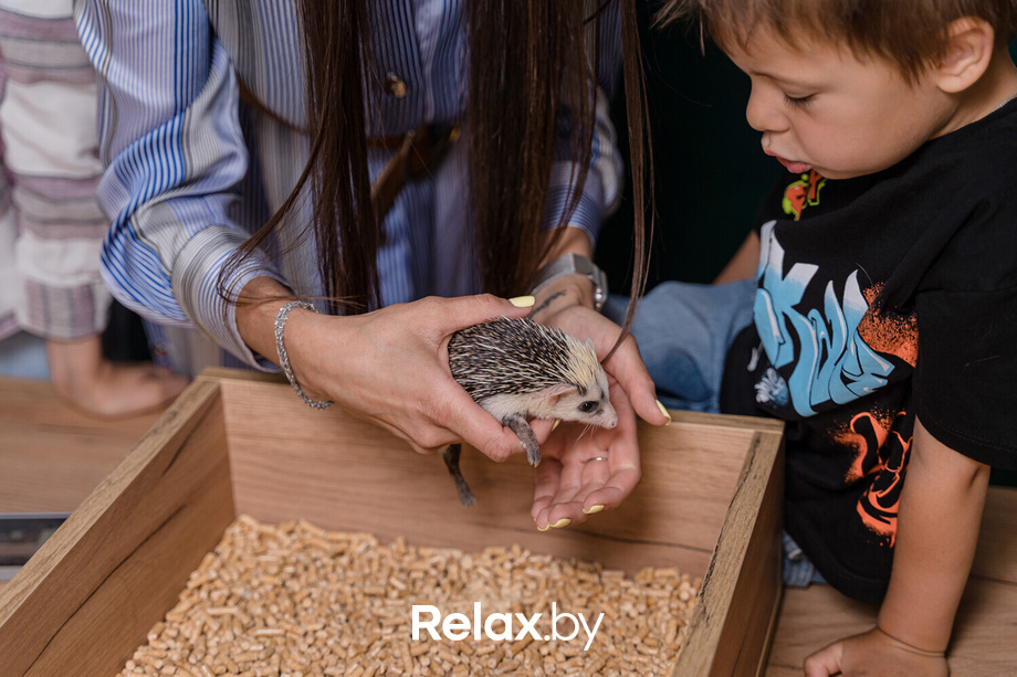 Открытие антикафе «Ёж кафе», фото № 2