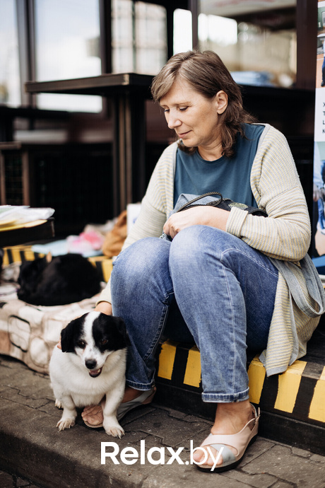 Акция Пушистого Добра, фото № 81