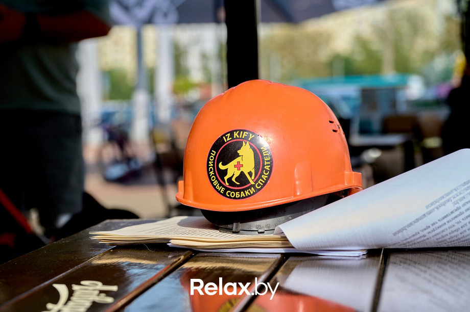 Акция пушистого добра, фото № 57