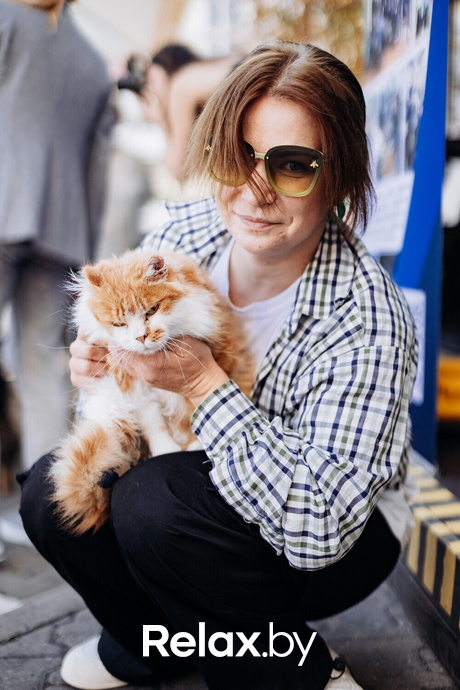 Акция Пушистого Добра, фото № 6