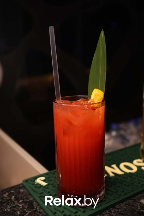 Terra party, фото № 62