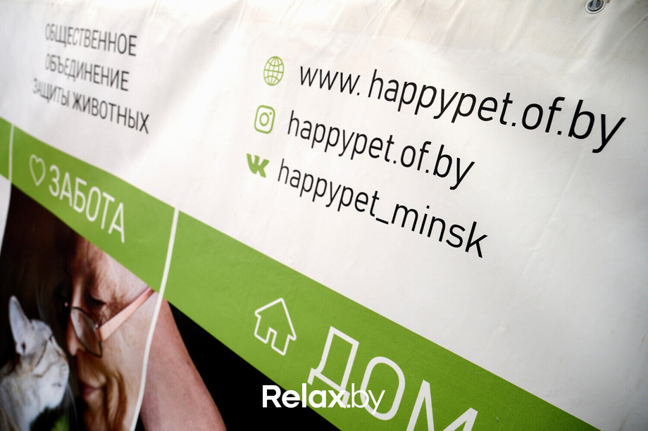 Акция пушистого добра, фото № 135