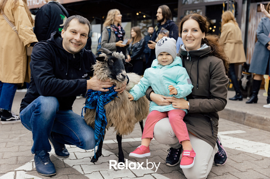 Благотворительная акция пушистого добра, фото № 43