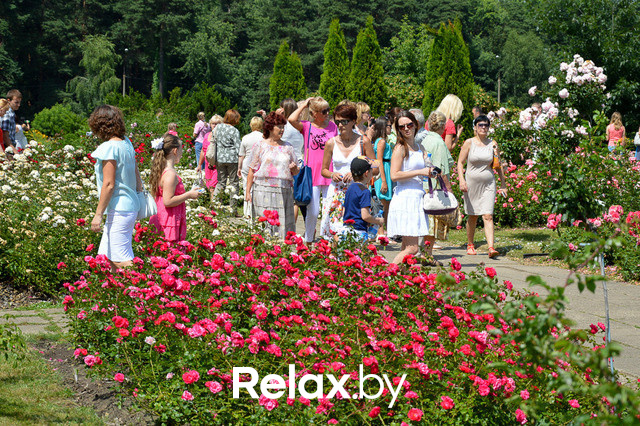 Фестиваль роз, фото № 53