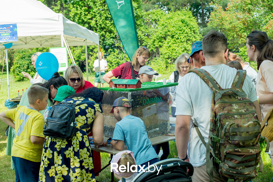 Букидс. Профессии, фото № 29