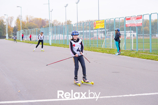 Золотая осень с Васильками, фото № 69