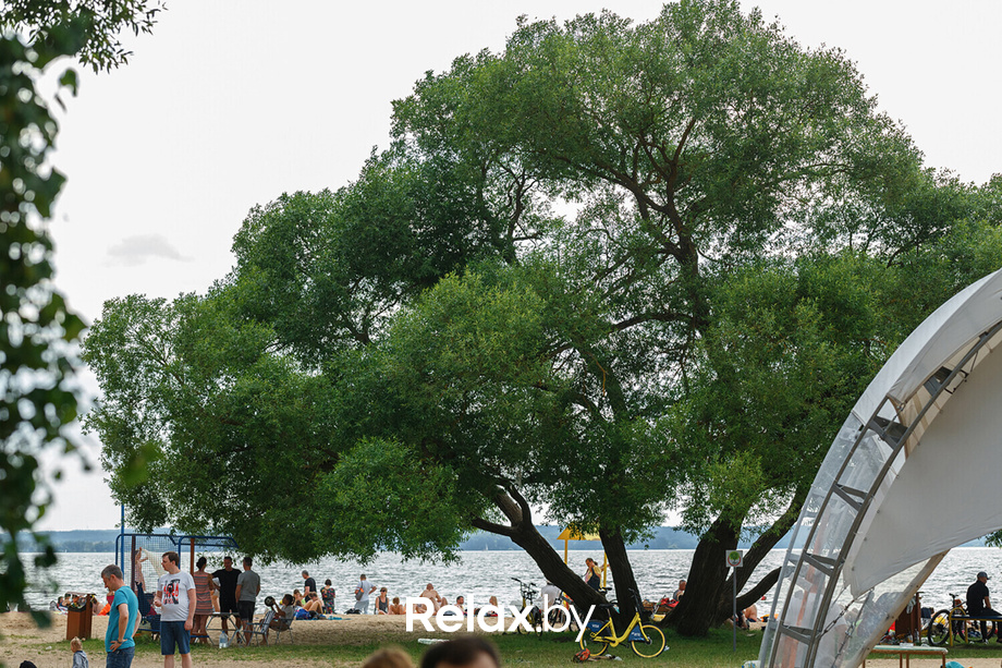 Нам 5 лет!, фото № 101