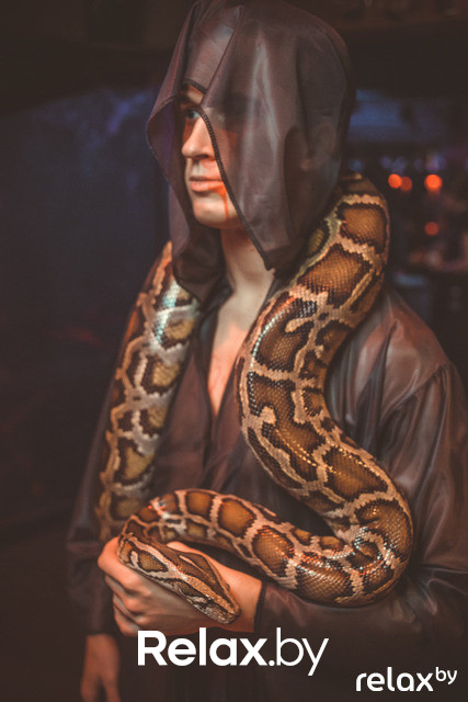 ТОП 66 лучших фото образов Хэллоуина 2014, фото № 33