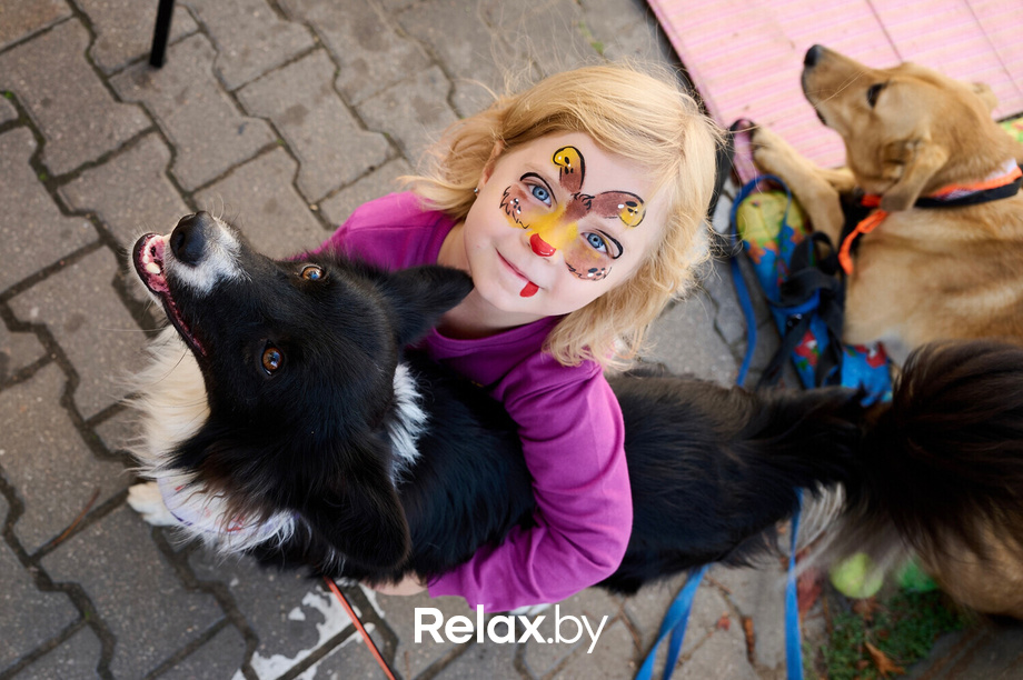 Акция пушистого добра, фото № 124