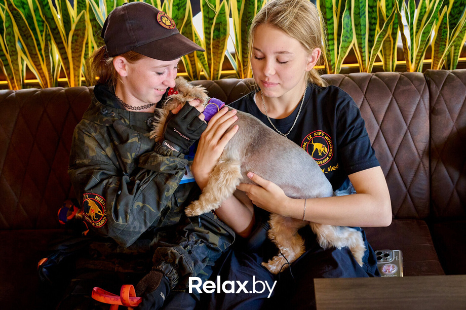 Акция пушистого добра, фото № 117