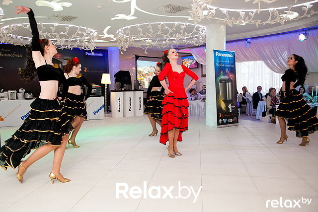 Презентация Panasonic, фото № 61