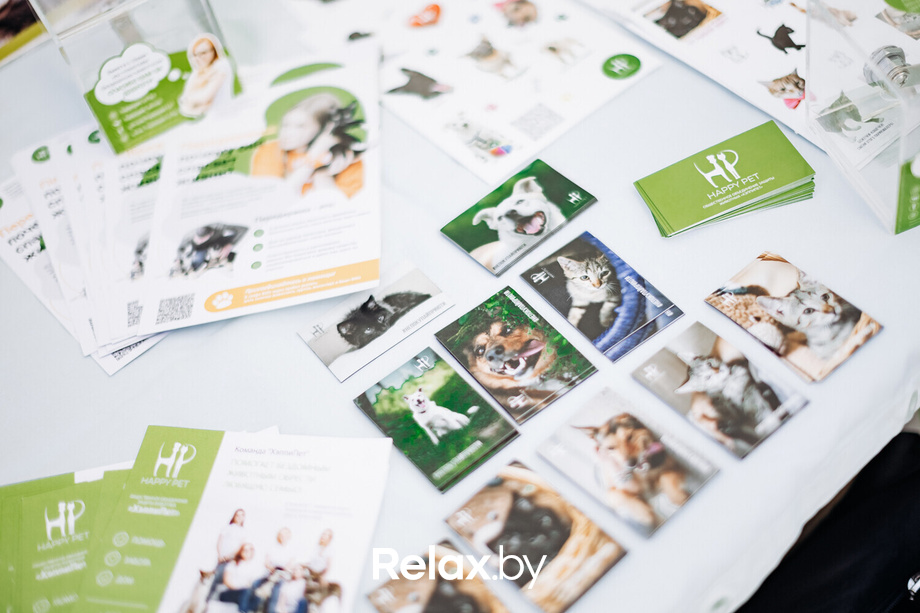 Акция Пушистого Добра, фото № 10