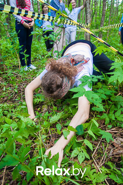 Тимбилдинг, фото № 59