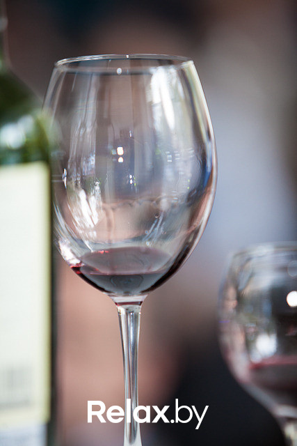 Дегустация чилийских вин, фото № 40