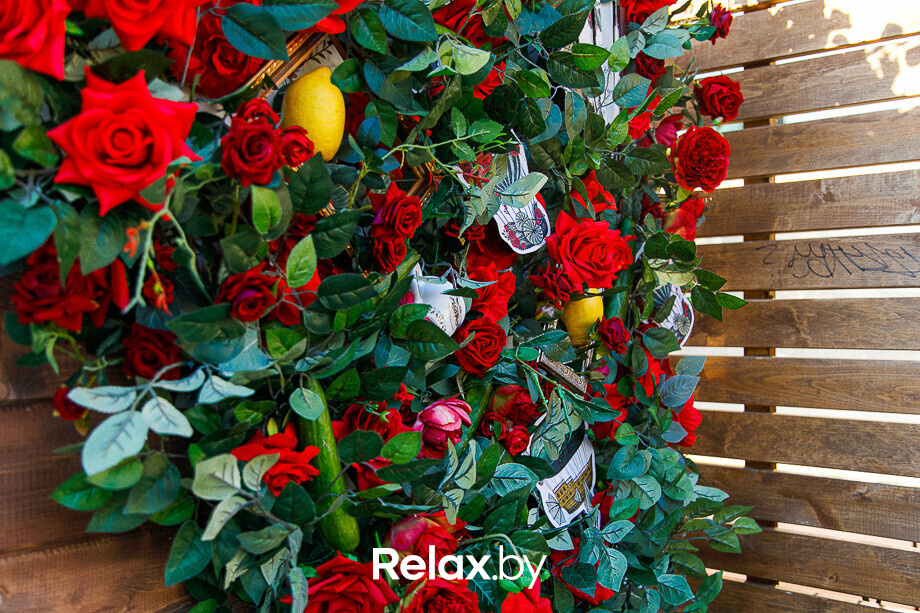 World Cucumber Day – 2021, фото № 602