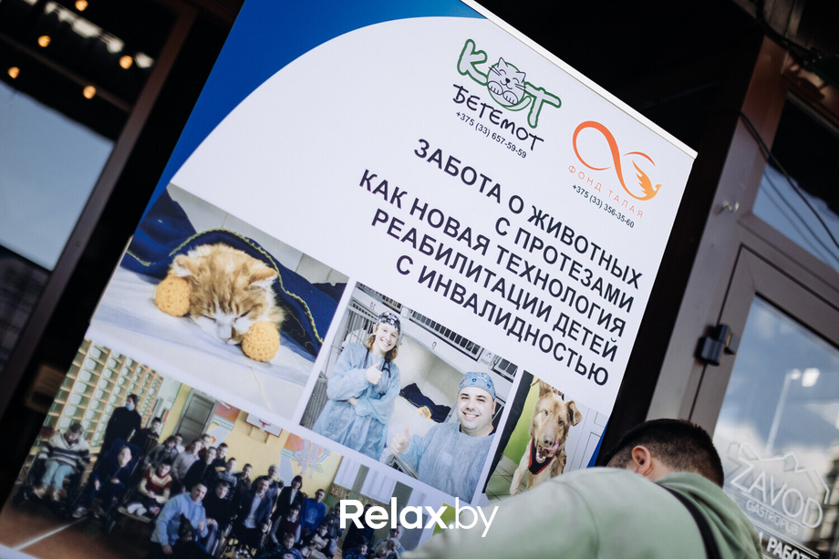 Акция Пушистого Добра, фото № 30