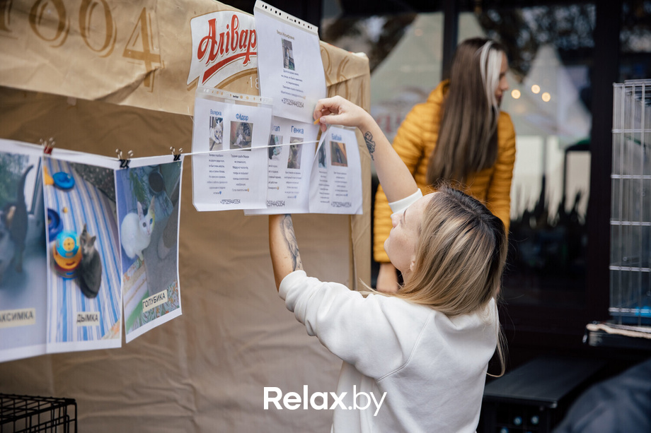 Благотворительная акция пушистого добра, фото № 20