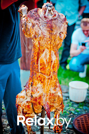 Экспедиция презентация Пикник-отеля, фото № 122