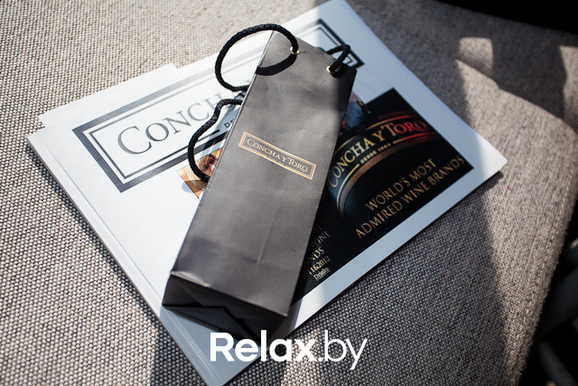 Дегустация чилийских вин, фото № 26