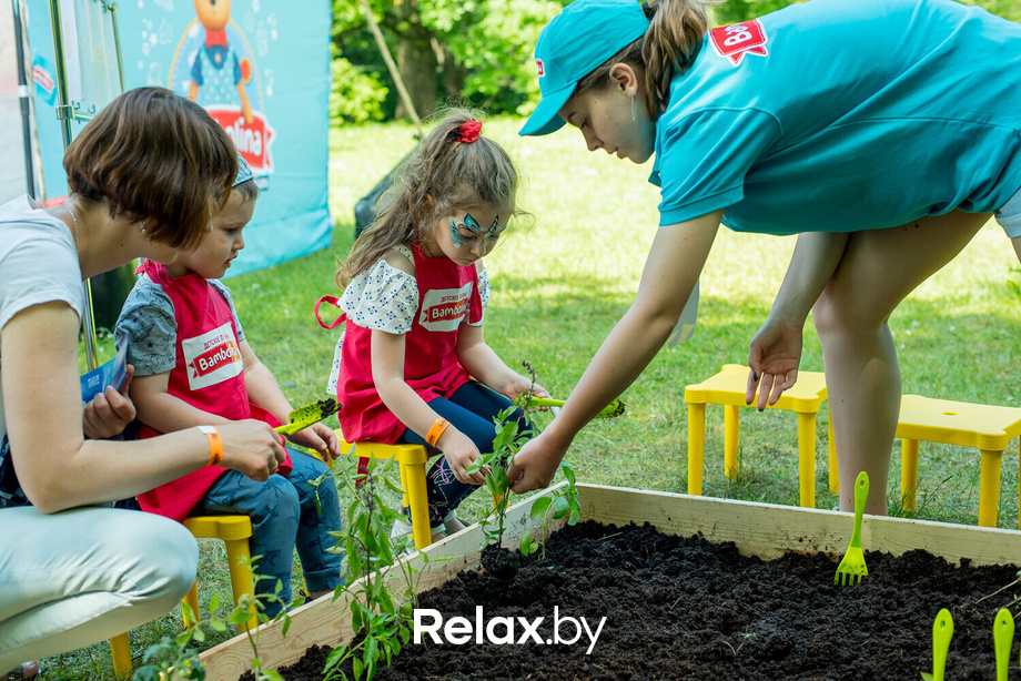 Букидс. Профессии, фото № 31
