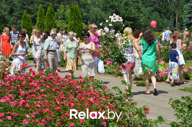 Фестиваль роз, фото № 54