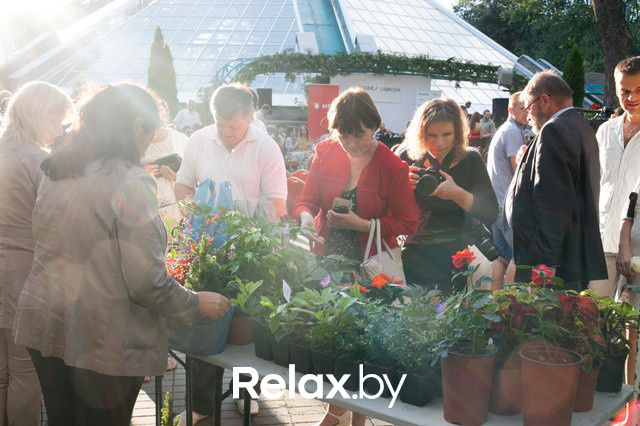 Благотворительный раут, фото № 25