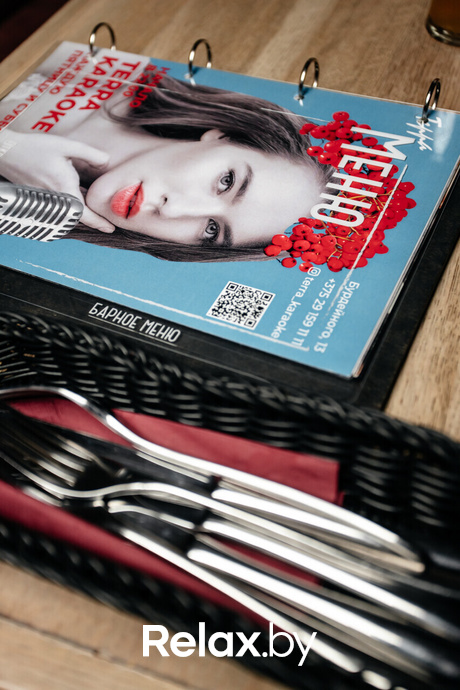 Terra Karaoke, фото № 7