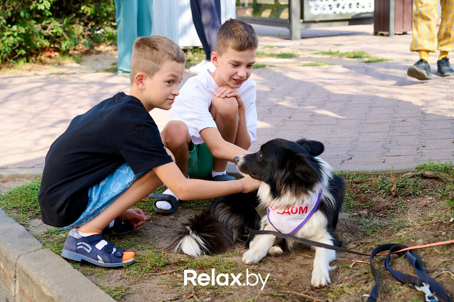 Акция пушистого добра, фото № 144