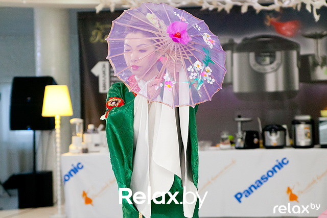 Презентация Panasonic, фото № 104