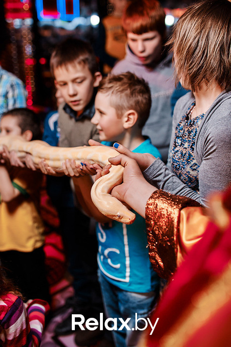 Junior Disco, фото № 172